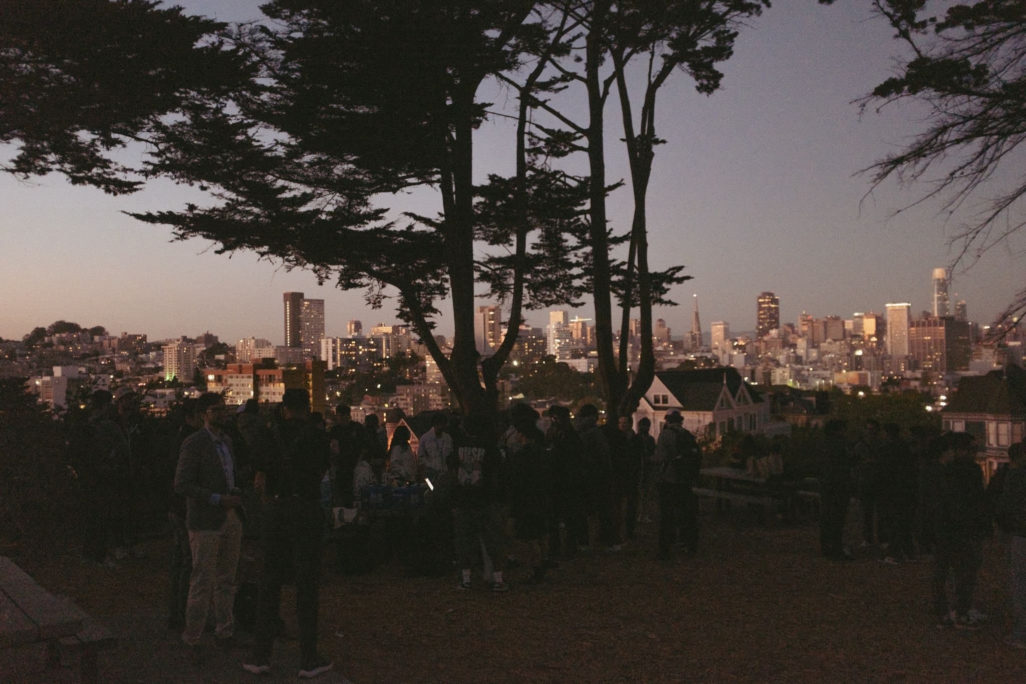 YC Startup School after-party at the Painted Ladies — The crowd at dusk over the city